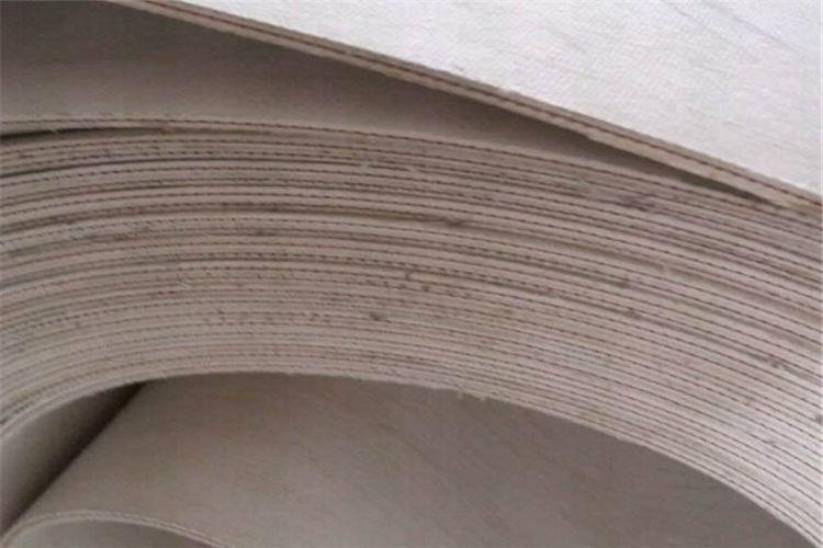 莫小看帆布分層輸送帶彎帶故障 不利因素影響頗(圖1) 莫小看帆布分層輸送帶彎帶故障 不利因素影響頗(圖1)