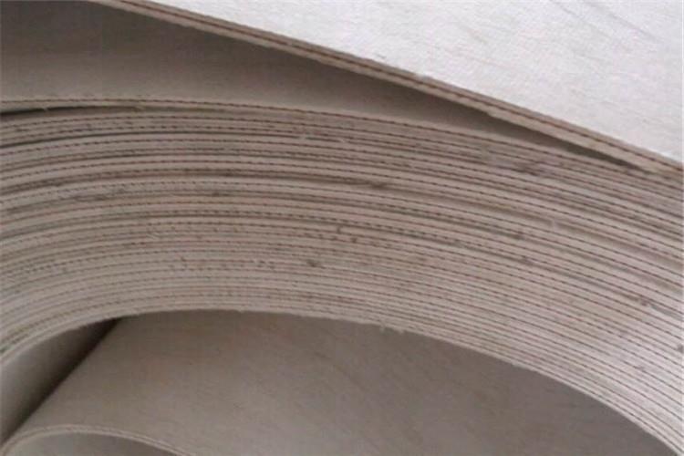 帆布分層輸送帶輸送黏性物質易沾料 解決方法在(圖1) 帆布分層輸送帶輸送黏性物質易沾料 解決方法在(圖1)