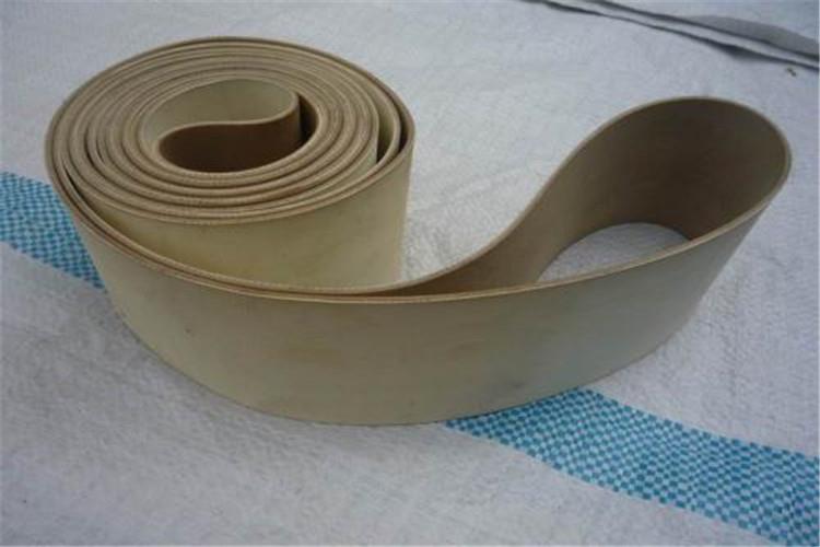 帆布分層輸送帶老是粘料怎么辦?三種方法輕松(圖3) 帆布分層輸送帶老是粘料怎么辦?三種方法輕松(圖3)